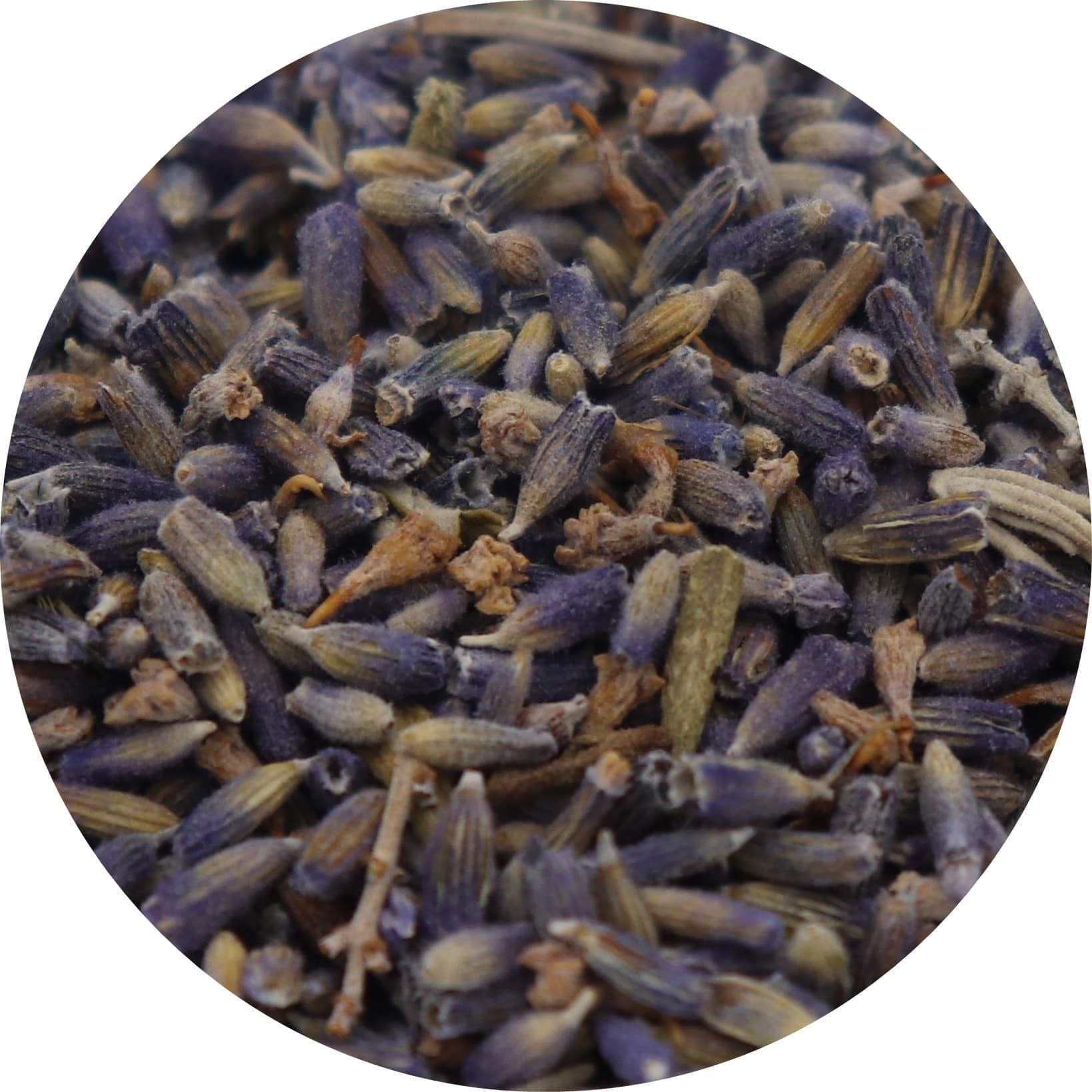 lavender.jpg